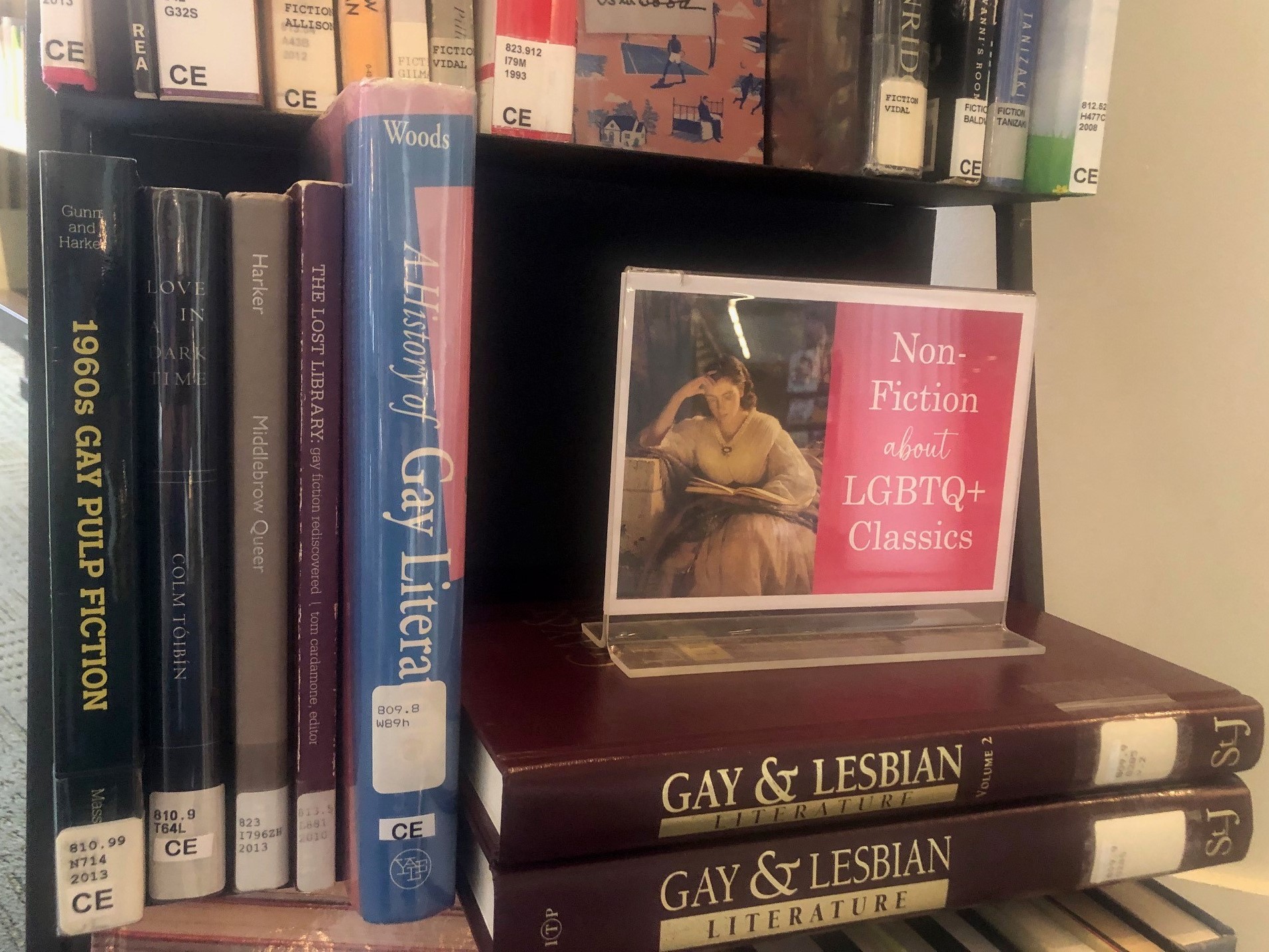 LGBT Pride Display in Central Library