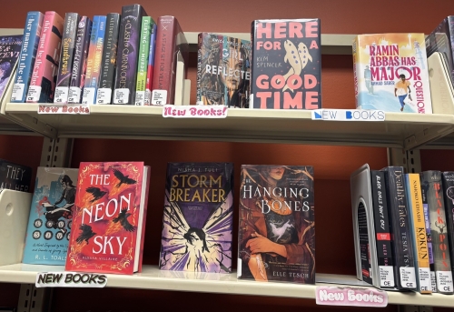 New books on display in the Teen area at the Central Library
