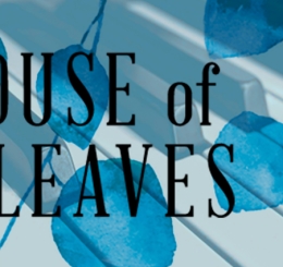 blue leaves overlay on piano keys