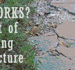 cracked sidewalk