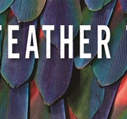 iridescent green feathers with red spots