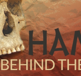 human skull with lower jaw missing