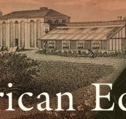 illustration of plantation and man