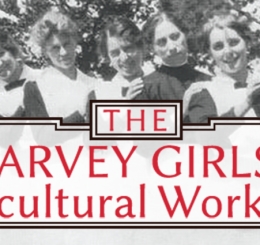 line of women in maid's outfits
