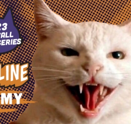 hissing cat