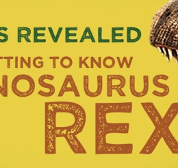 t-rex open jaws