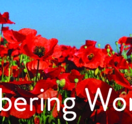 field of poppies