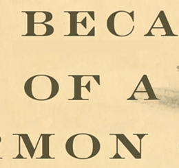 illustration of two men on horse, one falling off