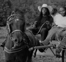 black and white image of 4 men on wagon pulled by horse