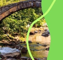 bridges