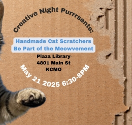 cat jumping on cardboard