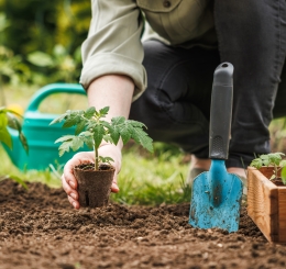 person gardening