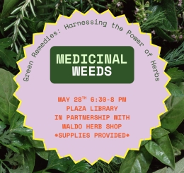 herbs