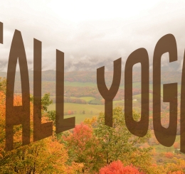 fall aerial photo