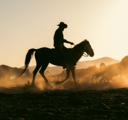 Signature event a photo of a man on a horse