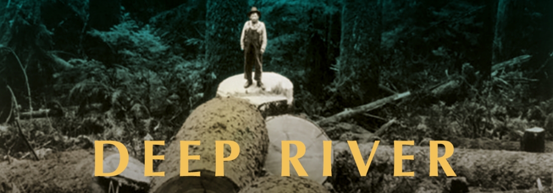 man stands on very large tree stump
