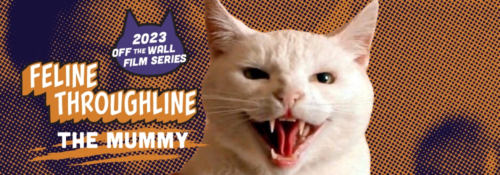 hissing cat