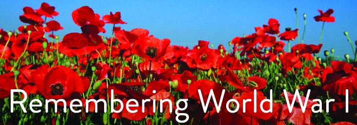 field of poppies
