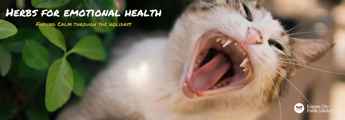 cat with open mouth surrounded by herbs