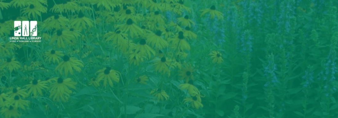 wildflowers with green overlay