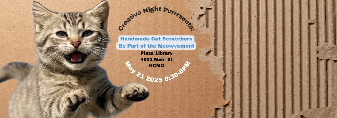 cat jumping on cardboard
