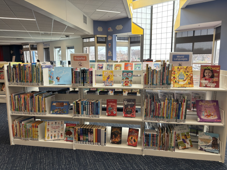 shelf full of books