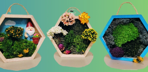 moss gardens in hanging hexagons